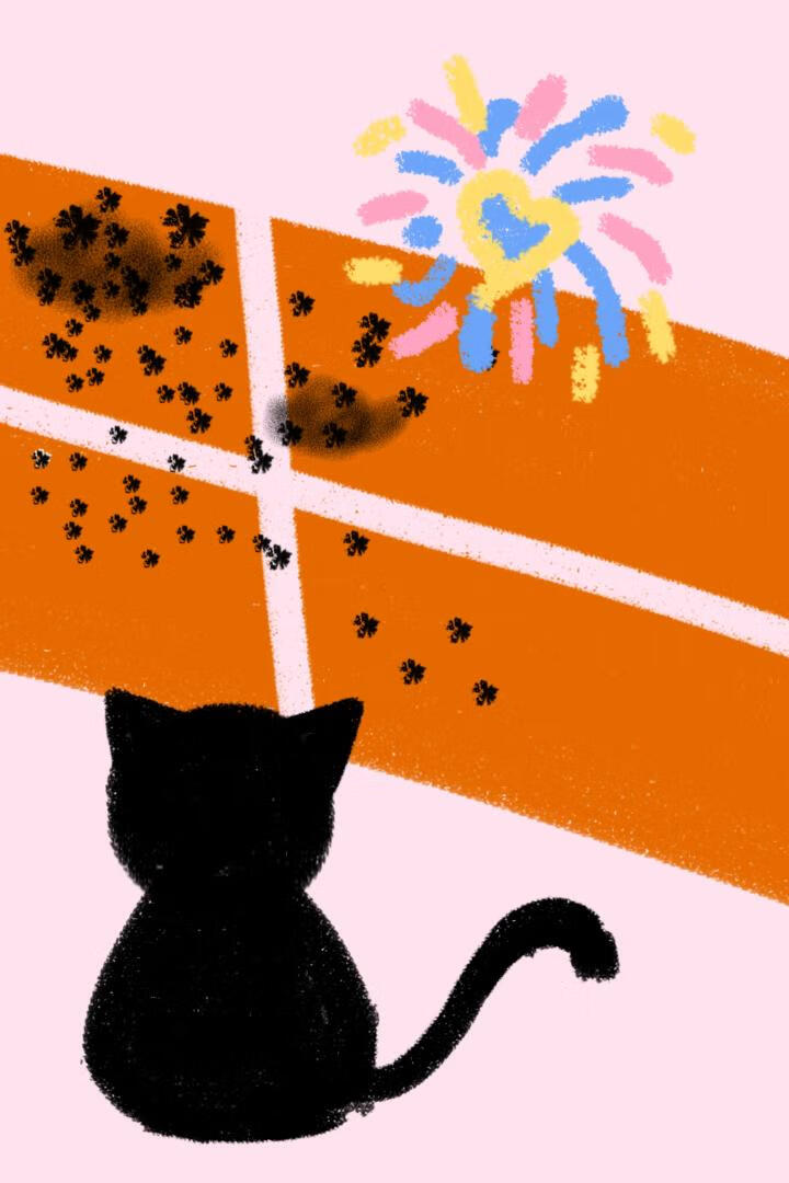 我那么大只猫呢