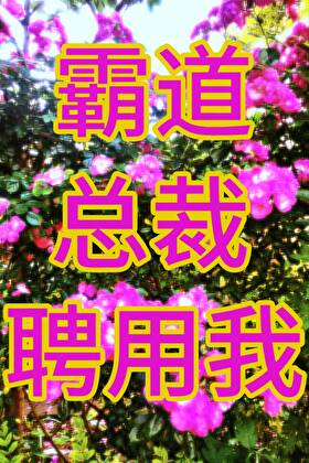 霸道总裁聘用我