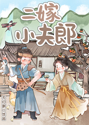 二嫁小夫郎