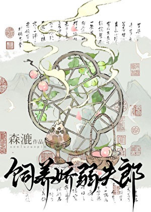 娇夫郎养崽我开店