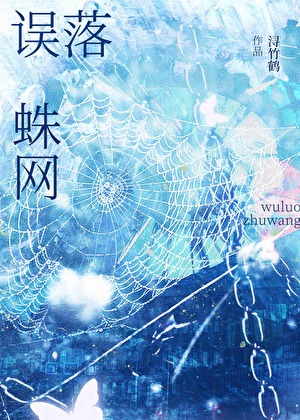 误落蛛网（破镜重圆）