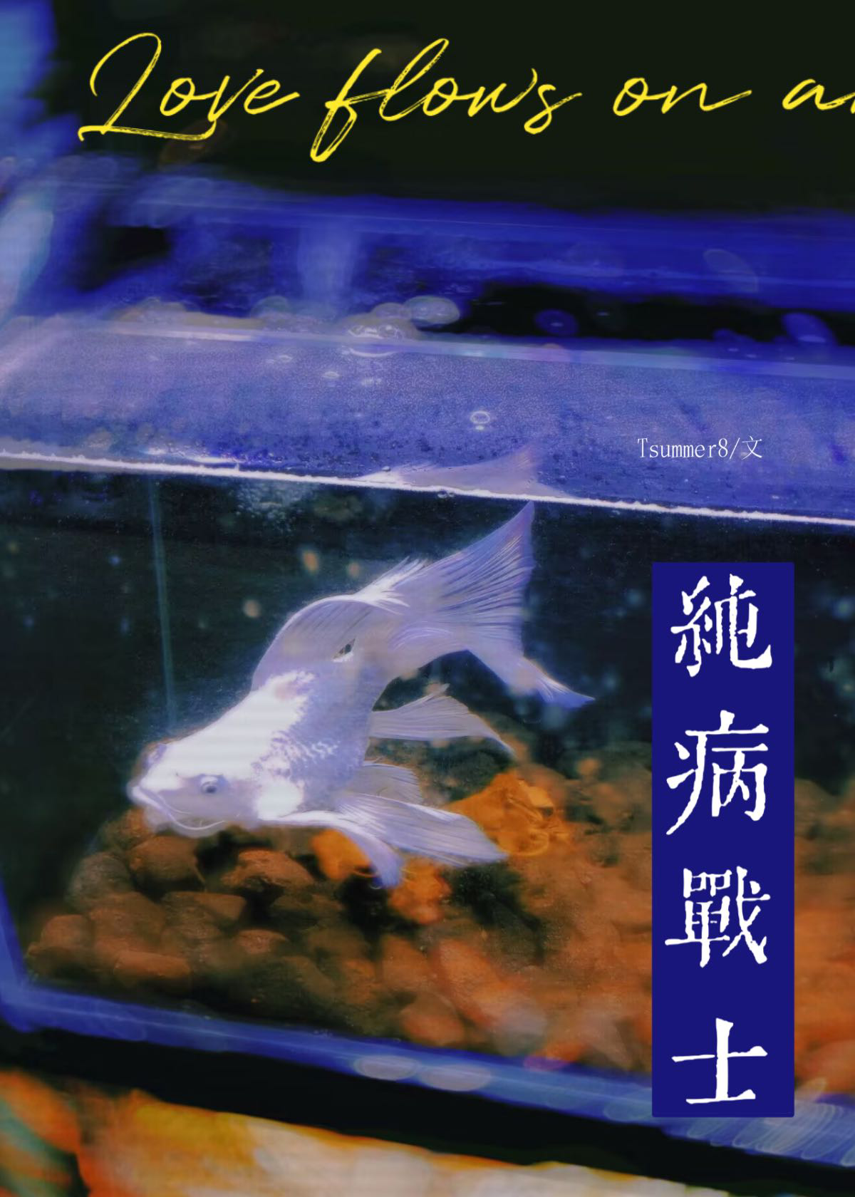 被病娇疯批盯上后