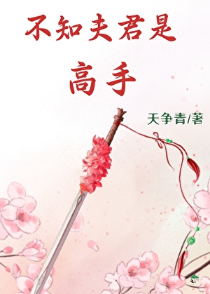 不知夫君是高手